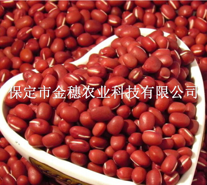 紅豆種子