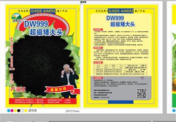 高油王DW999——油葵種子