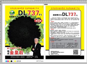 超級矮大頭DL737——油葵種子